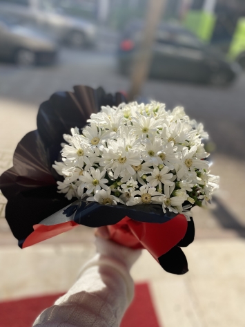 Sinemayla çiçeği 